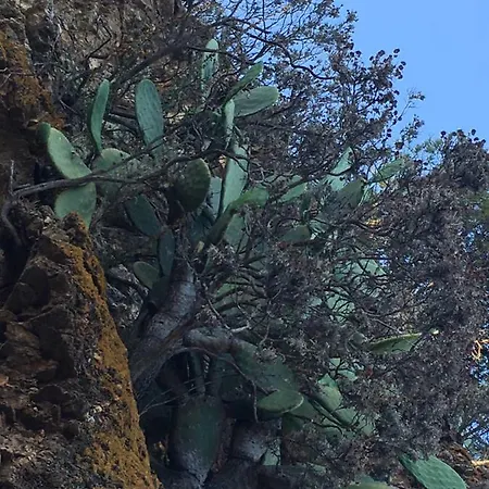 Stellamarina Appartamento