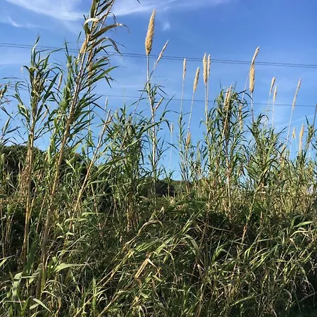 Stellamarina Appartement