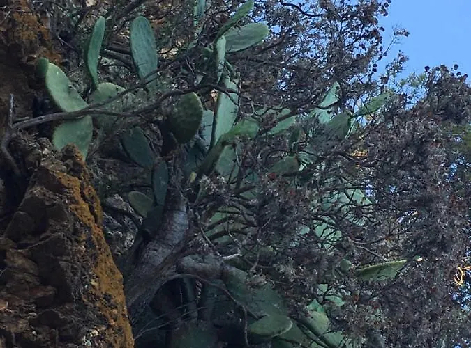 Stellamarina Apartment