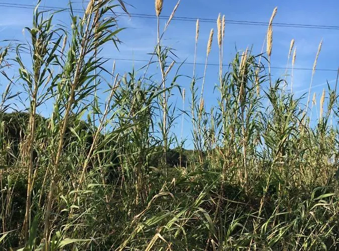 Stellamarina Appartement